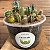 Kit para cultivo de Cactos Sortidos: 50 Sementes + Substrato + Pote + Manual - Imagem 3