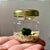 Marimo Ball no Vidrinho 30ml - Imagem 1