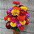 Sementes da Flor Zinia Dália Dobrada Sortida (Zinnia elegans) - Imagem 6