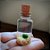 Marimo Ball Mini no Vidrinho 15ml - Imagem 3