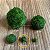 Marimo Ball Mini no Vidrinho 15ml - Imagem 4