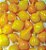 Sementes de Pimenta Biquinho Amarela - Imagem 1