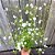 Mosquitinho Branco (Gypsophila elegans) - 100 SEMENTES - Imagem 4