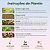 Mix 500 Sementes de Flores Sortidas - 18 Espécies Misturadas - Para Jardim e Floreiras - Imagem 3