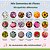 Mix 500 Sementes de Flores Sortidas - 18 Espécies Misturadas - Para Jardim e Floreiras - Imagem 2