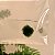 Marimo Ball Micro 0,5 cm – Esfera de Musgo Viva Natural - Imagem 4