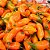 Sementes de Pimenta Andina (Capsicum baccatum) - Imagem 1
