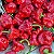 Sementes de Pimenta Jamaican Red (Capsicum chinense) - Imagem 1