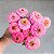 Zinia Dália Dobrada Rosa (Zinnia elegans) - 30 SEMENTES - Imagem 3