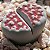 Lithops karasmontana v. Red Top - 10 sementes - Imagem 2