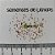 Lithops pseudotruncatella - Pedras Vivas - 10 sementes - Imagem 2