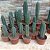 Trichocereus bridgesii (10 sementes) - Imagem 1