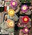 Pleiospilos Mix (Mesembs) 10 sementes - Imagem 3