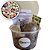 Kit para cultivo de Lithops Mix Pedras Vivas: 50 Sementes + Substrato + Pote + Manual - Imagem 1