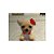 Jogo Nintendogs Chihuahua & Friends - DS - Usado - Imagem 8
