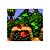 Jogo Donkey Kong Country - Game Boy Color - Usado - Imagem 4