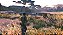 Jogo Cabela's African Adventures - Wii - Usado - Imagem 4