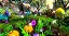 Jogo Viva Pinata Party Animals - Xbox 360 - Usado - Imagem 2