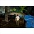 Jogo The Sims 2 Castaway - Wii - Usado - Imagem 5