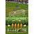 Jogo Fifa Soccer 09 - Nintendo DS - Usado - Imagem 6