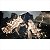 Jogo Final Fantasy XVI - PS5 - Usado - Imagem 2