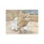 Jogo Nintendogs + Cats Toy Poodle (Sem Capa) - 3DS - Usado - Imagem 4