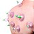 Kit com 12 Ventosas | Massagem e Ventosaterapia | Bomba Manual | Terapia Natural para Alívio de Dores e Circulação - Imagem 2