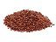Quinoa Vermelha em Grãos - Rei das Castanhas - Imagem 1