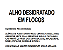 Alho em Flocos - Rei das castanhas - Imagem 2