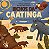 Bichos da Caatinga - Imagem 1