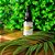 ÓLEO DE AZEITE DE OLIVA Marita 20 ML Nutre Regenera Antioxidante Antifúngico Bactericida - Imagem 5