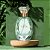Farmasi Perfumes e Fragâncias - Colônia - Cadastro Revendedor Consultor Farmasi Brasil - Imagem 9