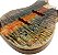 Corpo baixo JB 4 cordas ASH Burl Top Pintado Verniz MXP - Imagem 9