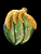 Petisqueira "banana" - Imagem 2