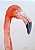 Flamingo Rosa - aquarela - Imagem 1