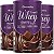 Kit 3 Complete Whey Protein da Sanavita Chocolate Suíço 450g - Imagem 1
