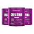 Kit 3 Creatina Treinamento Sanavita Neutro 300g - Imagem 1