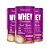 Kit 3 Whey Protein Treinamento Creamy Cappuccino 400g - Imagem 1