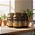 Kit 5 Whey Gold Isolate Optimum Nutrition Chocolate 744g - Imagem 2