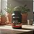 Kit 5 Whey Gold Standard Optimum Nutrition Cookies Cream 837g - Imagem 3
