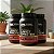 Kit 3 Whey Gold Standard Optimum Nutrition Chocolate 899g - Imagem 2