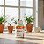 Ômega 3 Lavitan 1000mg 120 Cápsulas - Imagem 3