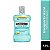 ENXAGUANTE BUCAL LISTERINE HORTELA SUAVE 1,5L - Imagem 1