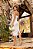 Vestido Lia Tubinho com Laço - Imagem 4