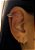 Piercing Fake para cartilagem da orelha/Helix - Prata - Imagem 3