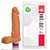 Prótese com escroto e vibrador 8 - 20x4,5 cm na cor pele (AE-ADAO20) - Imagem 1