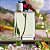 Burberry Her Eau de Toilette - Perfume Feminino 100ml - Imagem 3
