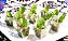 Salada de Tabule (salada árabe) no mini copo - 12 Unidades - Imagem 2