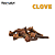 Clove 10ml | FA - Imagem 1
