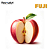 Fuji 10ml | FA - Imagem 1